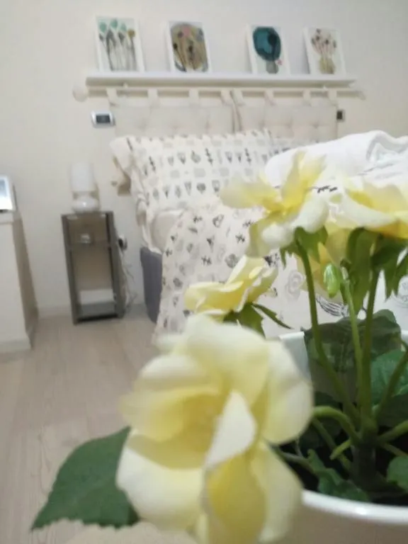 Bargello Guest House Florence 0*,